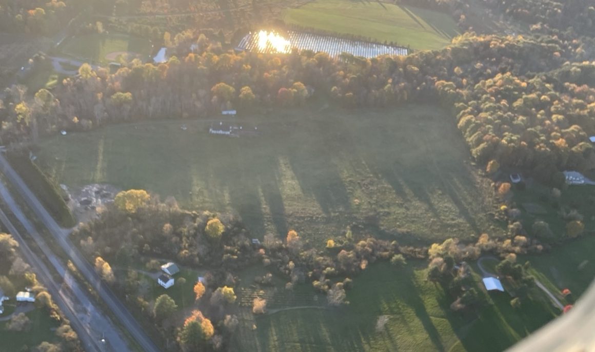 Tree cover around the field
